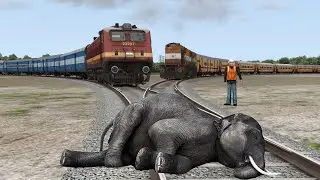 GIANT ELEPHANT VS TWO TRAINS AT TRACKS | Stops the train | BeamNG.Drive &ndash; Train simulator 2025