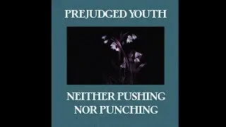 Graustufe West (Ex-Prejudged Youth) - Neither Pushing Nor Punching (Official Lyric Video)