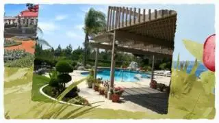 Garden Designer Sydney