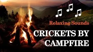 cricket sounds campfire with people relaxing SFX crickets open fire crackling noises tranquil calm