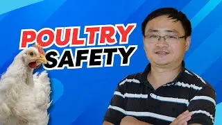 Dr. Cangliang Shen: Challenges in Poultry Processing