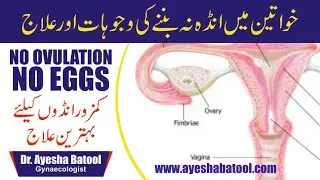 No Ovulation / Anovulation Causes & Treatment | Ovulation Problems in Women