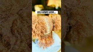 Sisterlocks Installation #locstyles #womenwithlocs #locs #sisterlocks #microlocs