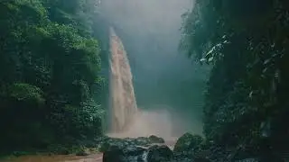 5 MINUTE RAIN FOREST RELAXATION MEDITATION 