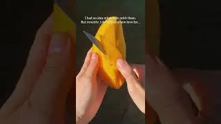 Homemade vinegar from MANGOES 🥭The result in 4 weeks #mangovinegar #vinegar #diyvinegar #fermented