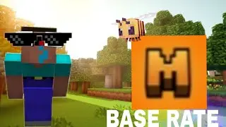 Base Rate On This Public Minecraft Server