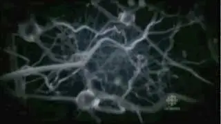 'Thank you for Everything' (Ode to my Brain) - Hugo