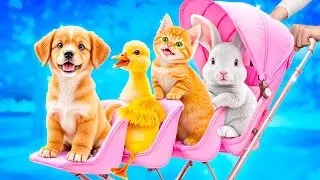 We Build a Tiny House for Pets! How to Take Care of Your Pets!