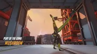 tracer 5k