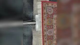 Top Carpet & Upholstery Cleaning in Chicago, Park Ridge & Glenview