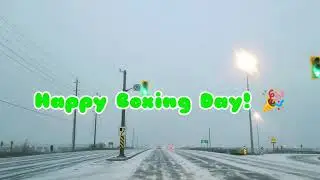 Happy Boxing Day Drive to Ikea | Braving the wintry weather for the boxing week sale 