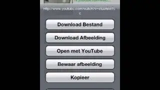 How to use Safari Download Manager