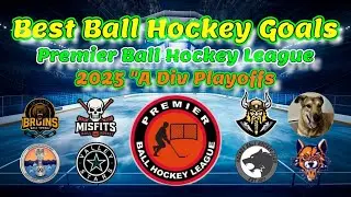 (4K) 2025 Premier Ball Hockey League A Division Playoffs Best Ball Hockey Goals #ballhockey #hockey