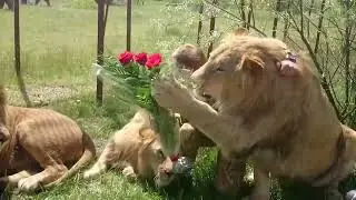 С Днем объятий, друзья! Happy Hug Day, friends!