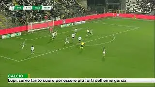 Lupi, serve tanto cuore per essere pi&ugrave; forti dell'emergenza