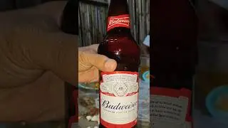 Budweiser Premium King of Beers | 🍺
