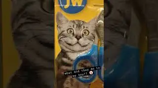 🤡🤡🤡  #cats #photoshop #catmemes #catmom #photoshopfail