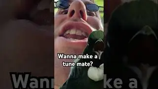 Wanna make a tune mate?