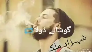 Saleem amin song 2013 (cho mangaleek wada) WHATSAPP STATUS