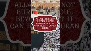 Divine Reflections: An Islamic Quotes Sanctuary - Discover Spiritual Wisdom and Guidance