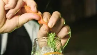 Skin Gin Tonic