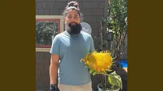 I Love to See You Smile