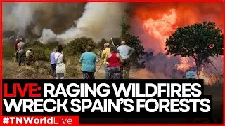 LIVE: Spain Wildfires Rage Out of Control, Massive Damage | Times Now World