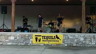 Tequila Mockingbird Sample