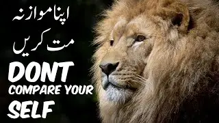 Don't Compare Yourself With Others | INFORMATIVE HUB | RANA FAZEEL