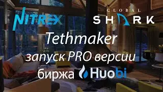 Nitrex. Запуск PRO версии Tethmaker (торговля на споте) на бирже Huobi с командой GlobalShark