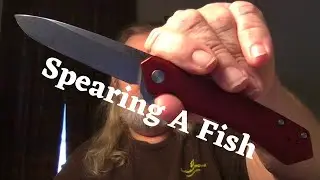 Case Kinzua - Spearing a Fish