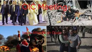 OIC and AL members criticize Israel but their approaches vary/OIC Meeting