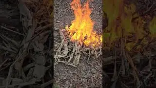 burning banana leaves