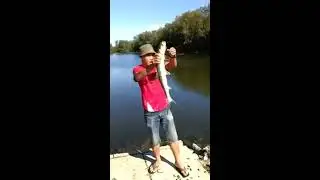 Ladyfish bandang with Ultralight by Fiz Caster from Malaysia