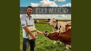 Ieder Weekend (Sorry Ma)