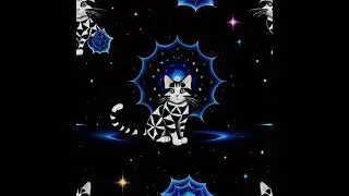 The Spiritual Cat of the Stars