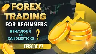 Forex Trading 2026 | Behaviour of Candlestick | Complete Beginner's&nbsp;Guide&nbsp;Ep.&nbsp;7