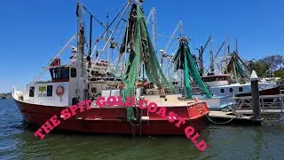 Cooked crabs directly from Fishing boat - The Spit  Gold Coast QLD