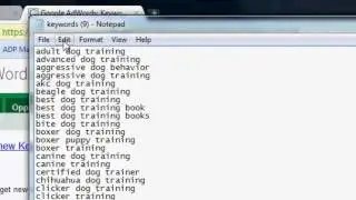 Bulk Check Domains - Domain Bulk Check
