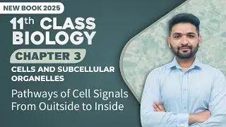 11th Class Biology Chapter 3 | Pathways of Cell Signals from Outside to Inside | New Book 2025