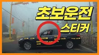 이 정도면 무면허 아닌가요?ㅣ하~아....김여사님 제발....