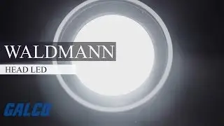 Waldmann Lighting Light Fixtures, HEAD LED Series