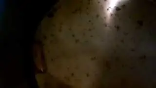 TURBO POTATO