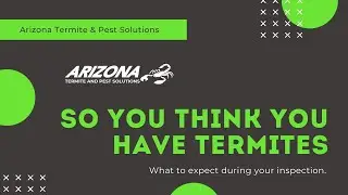 Arizona Termite & Pest Solutions: Gilbert Termite Control: So you think you have Termites?