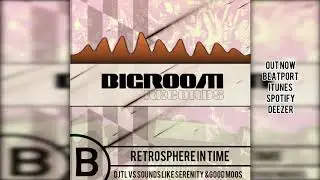 DJTL vs Sounds Like Serenity & Good Moos -   Retrosphere In Time (DJTL Mashup)