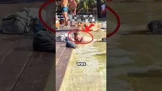 Эта сцена у бассейна в отеле всех обманула🤣🥶