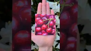 Finished Cherry Painting 🍒🎨 Oil Painting Artist #meganjosolart