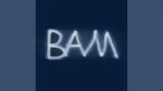 C418 - BAM #11