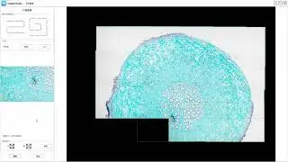 Image Stitch, ImageStudio-Microscope Image Software, from Suzhou Oi-Instruments Co., ltd.