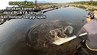 REKOR TERBESAR.!!! Hampir lari ketakutan,TERKEJUT jala ikan dapat ikan sebesar ini..